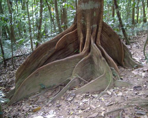 Thiết kế sân vườn, thiết kế sân vườn biệt thự, thiết kế sân vườn đẹp, sân vườn biệt thự, sân vườn sinh thái, biệt thự sinh thái, thiết kế sân vườn tiểu cảnh, thiết kế sân vườn cảnh quan, thiết kế hồ Koi, thiết kế hồ cá Koi, thiết kế hồ cá chép Nhật, thiết kế hồ cá chép rồng, thiết kế vườn treo, thiết kế vườn trên mái, thiết kế vườn nước, thiết kế vườn Nhật, thiết kế vườn khô, thi công sân vườn, thi công sân vườn biệt thự, thi công sân vườn đẹp, thi công sân vườn tiểu cảnh, thiết kế cảnh quan, thiet ke canh quan, thi công sân vườn cảnh quan, thiết kế tiểu cảnh, giếng trời, thiet ke tieu canh, gieng troi,  thi công tiểu cảnh, giếng trời,  thi công cảnh quan, thi công hồ Koi, thi công hồ cá Koi, thi công hồ cá chép Nhật, thi công vườn treo, thi công vườn trên mái, thi công vườn Nhật